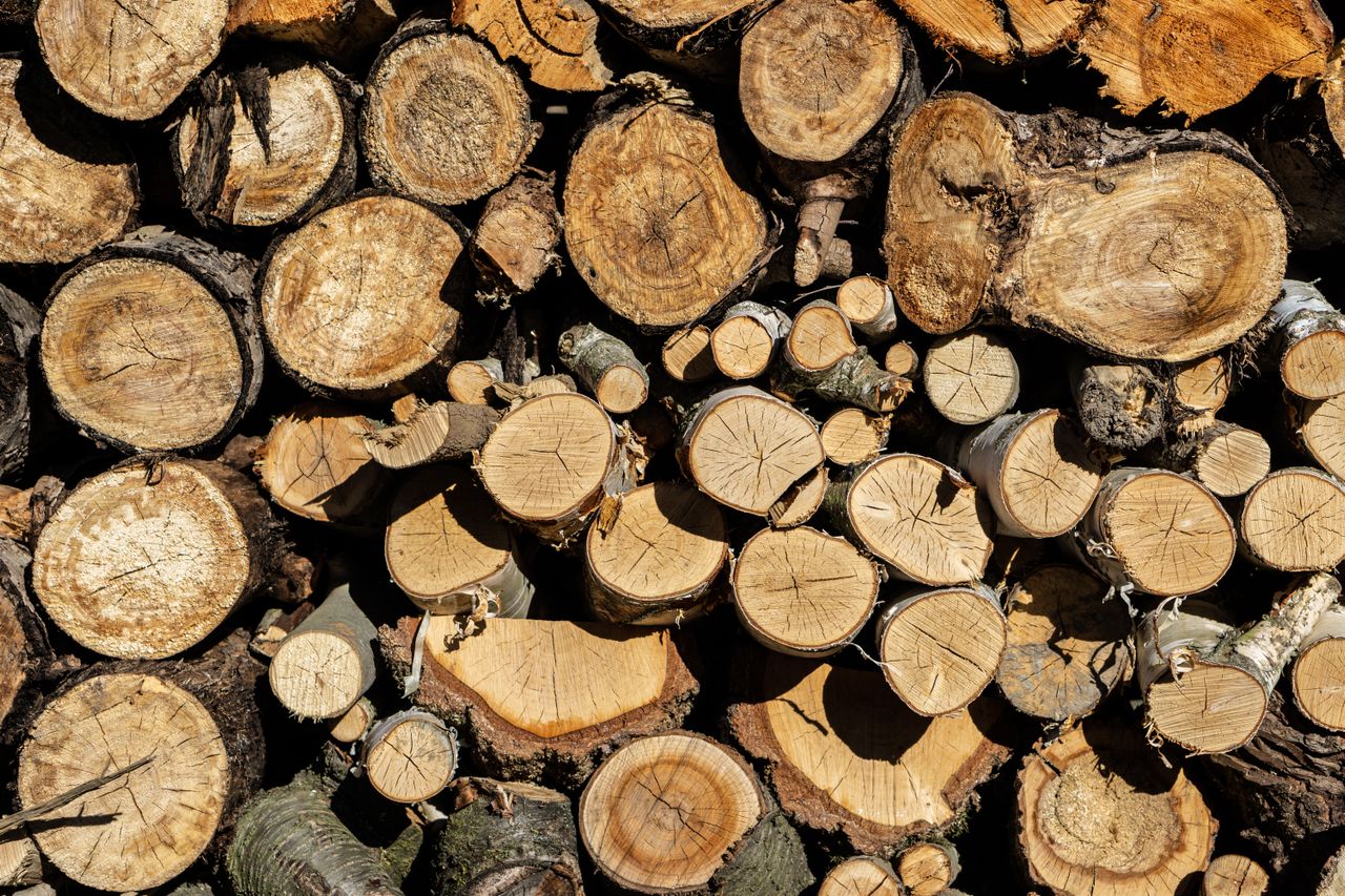 Firewood in Durbanville for winter home heating